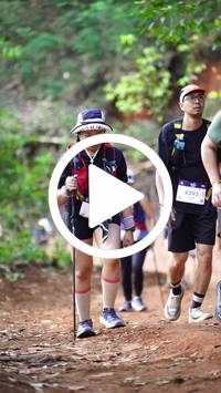 BIB:  <button type="button" onclick="openModal(27822194)" class="btn btn-primary btn-sm float-right" data-toggle="modal" data-target=".modal-high-quality">
                <i class="fa fa-download"></i> Download
                </button>